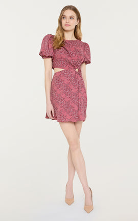 Stapleton Dress