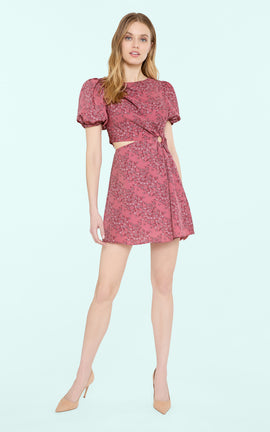 Stapleton Dress