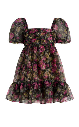 Posh Dress
