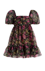 Posh Dress