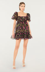 Posh Dress