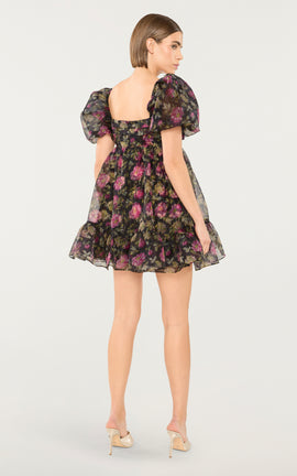 Posh Dress