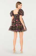 Posh Dress