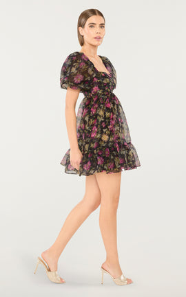 Posh Dress