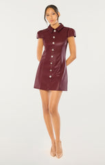 Anika Dress