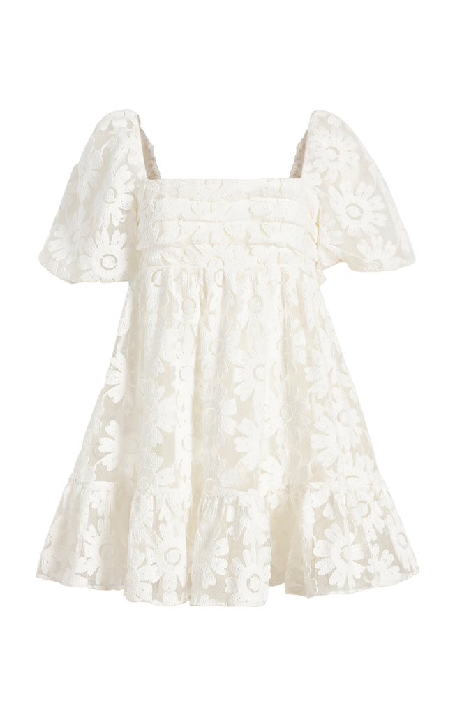 Optional title display Posh Dress