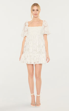 Posh Dress