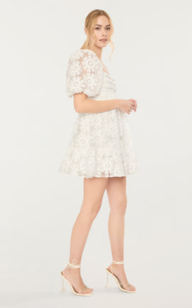 Posh Dress