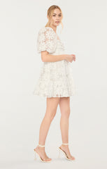 Posh Dress