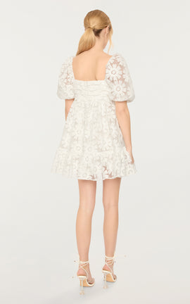 Posh Dress