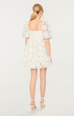 Posh Dress
