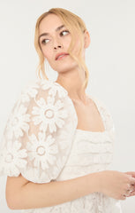 Posh Dress