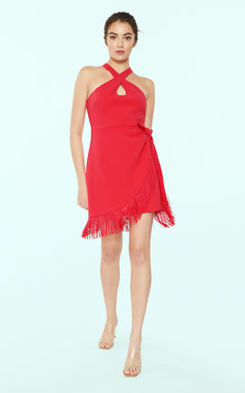 Portrait Dress