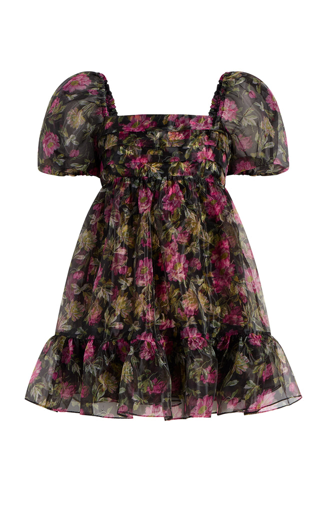 Posh Dress