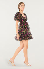 Posh Dress