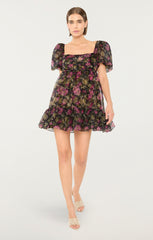 Posh Dress