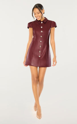 Anika Dress