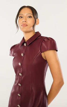Anika Dress