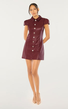 Anika Dress