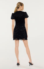 Lace Pirro Dress